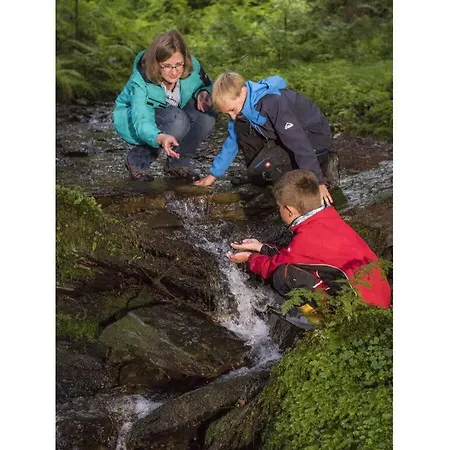 Mettenberg Nyaraló *