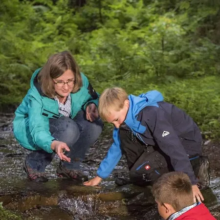 Nyaraló Mettenberg *