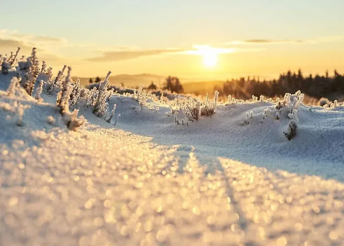 Mettenberg Сasa de vacaciones Eslohe